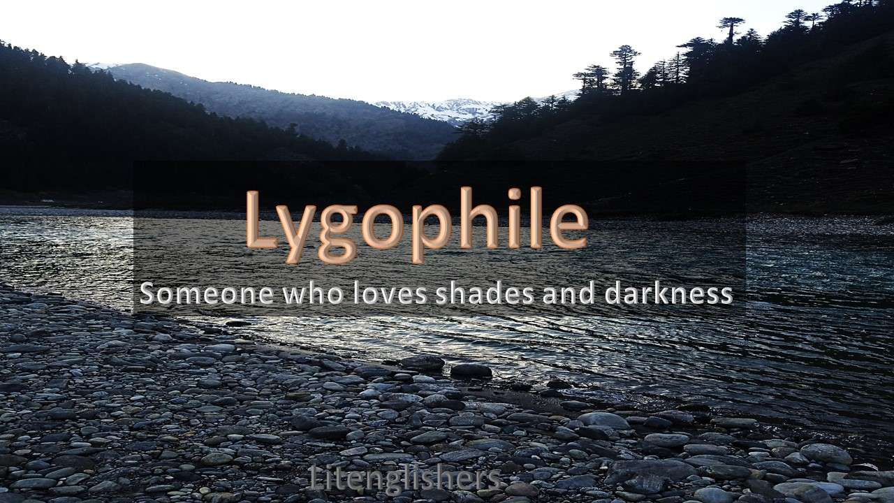 lygophile