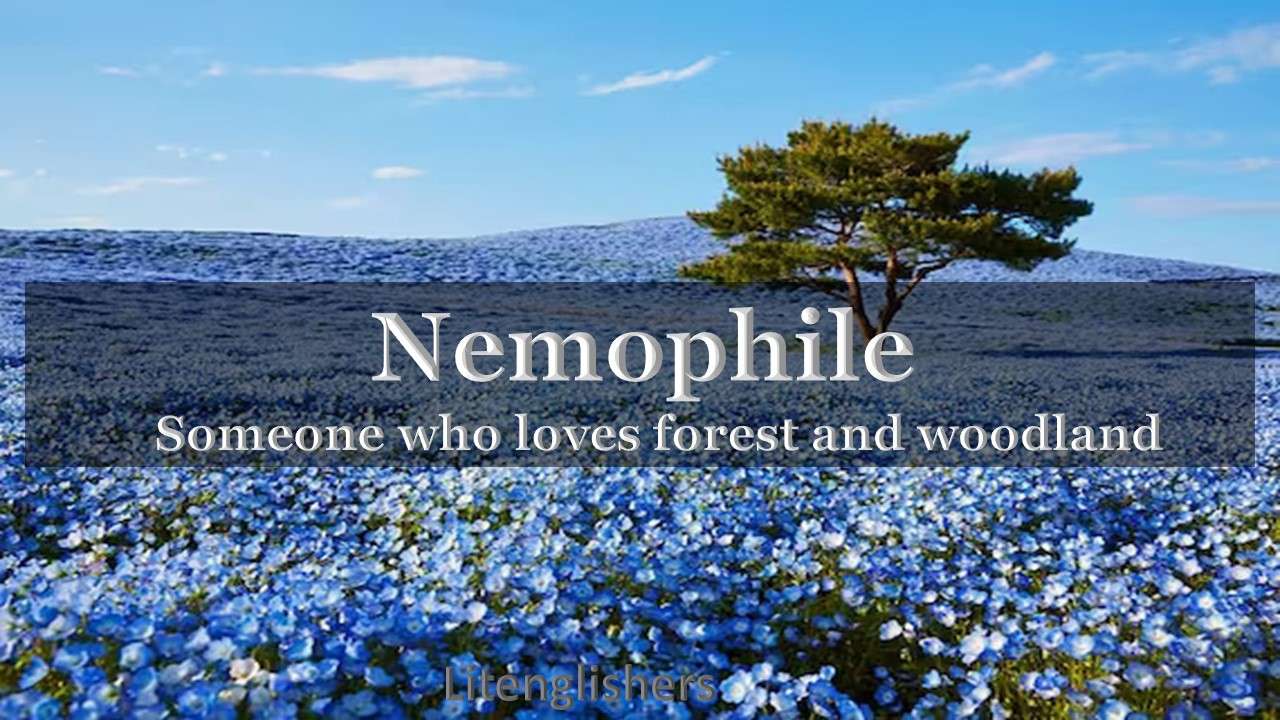 nemophile