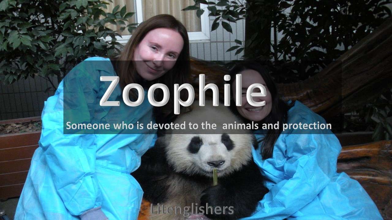 zoophile