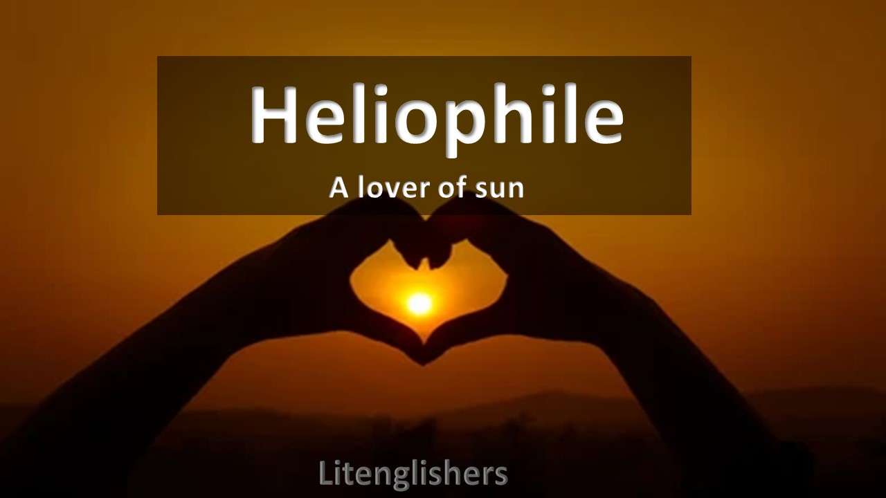 heliophile