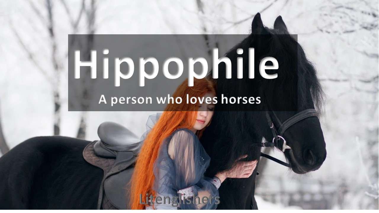 hippophile