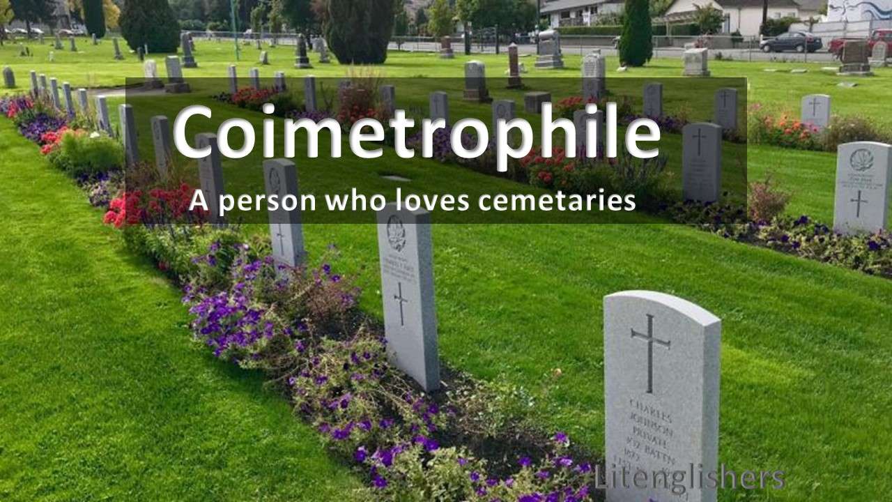 coimetrophile