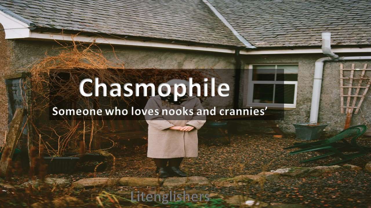 chasmophile philes