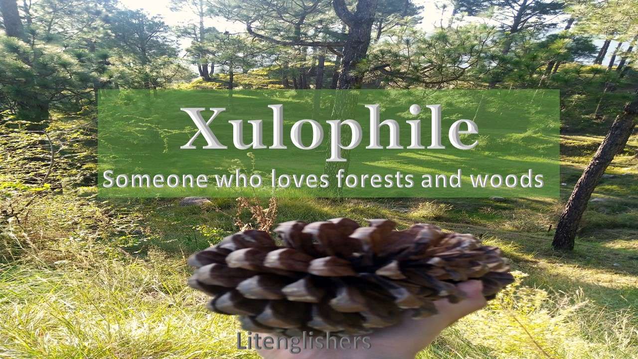 xulophile