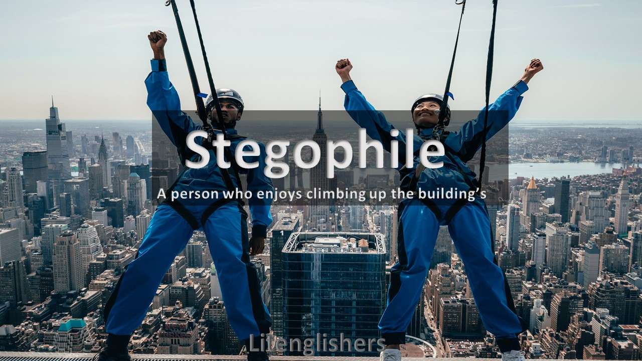 stegophile