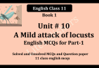 11 class english mcqs