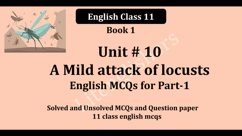 11 class english mcqs