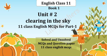 11 class english mcqs