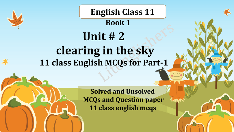 11 class english mcqs