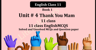 11 class English MCQs