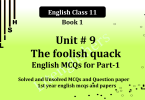 1st year english mcqs and papers