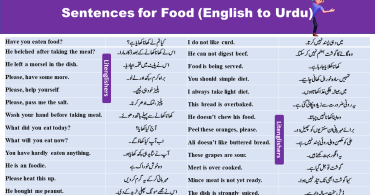 sentences for food