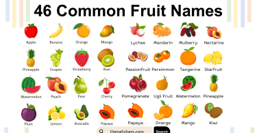 46 Common Fruit Names in English with Images