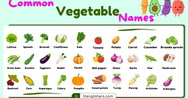 List of Common Vegetable Names with Images