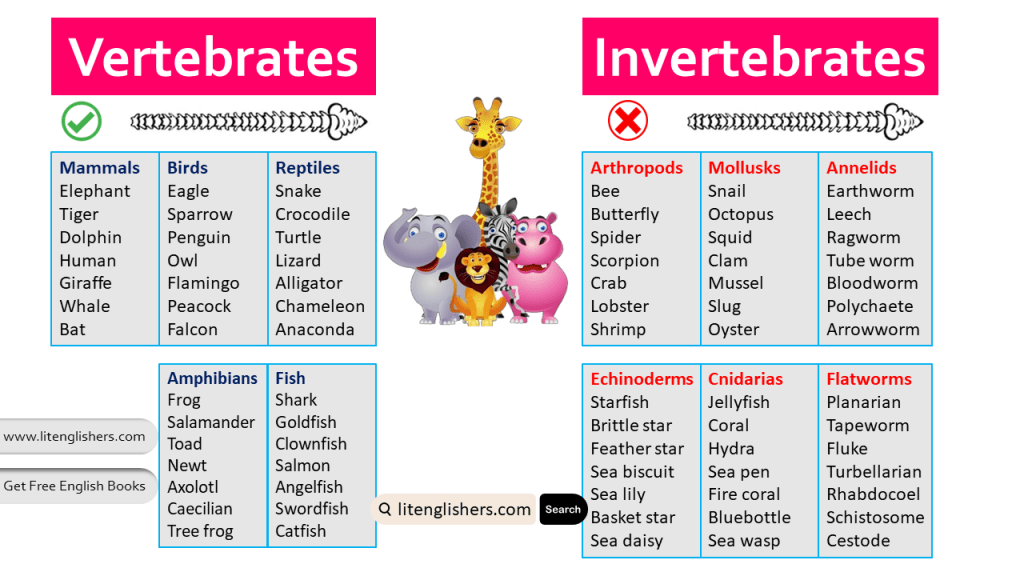 Vertebrates and Invertebrates Names in English