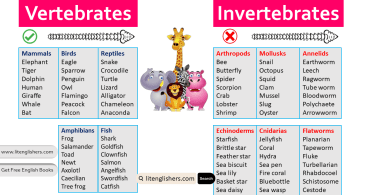 Vertebrates and Invertebrates Names in English