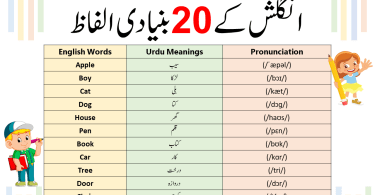 20 Essential English Words with Urdu/Hindi Meanings