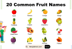 20 Common Fruit Names in English with Images