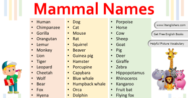 Mammal Names in English