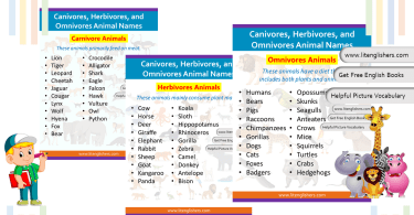 Carnivores, Herbivores and Omnivores Animal Names