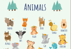 50 Animal Names in English with Images