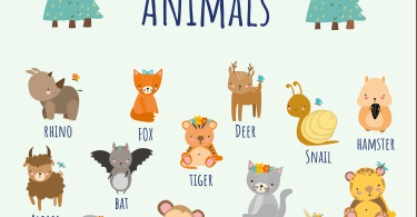 50 Animal Names in English with Images