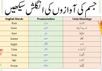 Body Sounds in English with Urdu and PDF