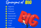 Synonyms for Big and Small