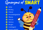 Synonyms for Smart and Stupid