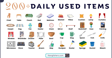 200+ Daily Used Items Name with Images and PDF