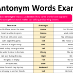 Antonyms of 200 Basic English Words