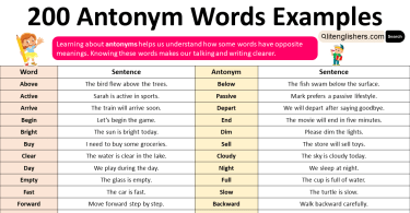 Antonyms of 200 Basic English Words