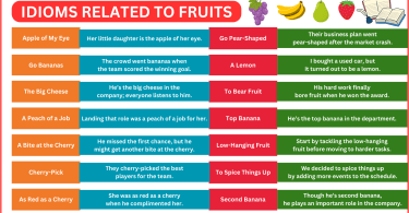 Idioms Related to Fruits in English