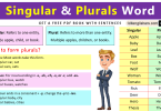 100 Singular and Plural Words in English