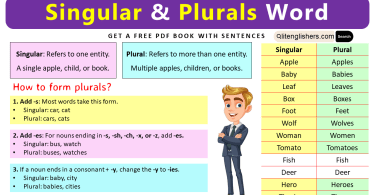 100 Singular and Plural Words in English