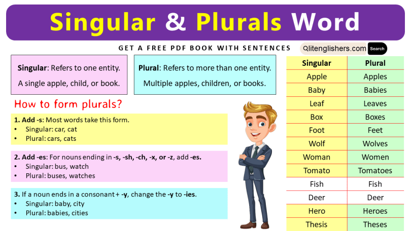 100 Singular and Plural Words in English