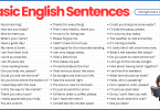 Basic English Sentences for Everyday Conversation