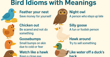Bird Idioms – Meaning and Easy Examples