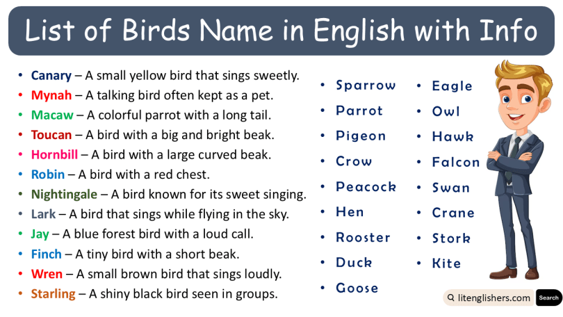 List of Birds Name in English