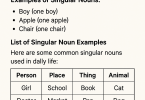 Singular Nouns Examples with Sentences