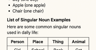 Singular Nouns Examples with Sentences