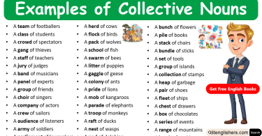 100 Examples of Collective Nouns with Pictures