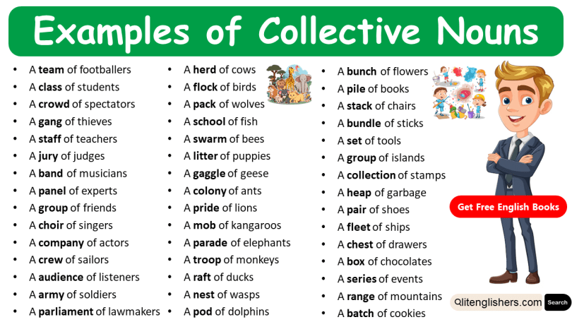 100 Examples of Collective Nouns with Pictures