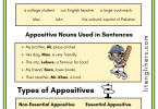 Appositive Nouns Definition, Types, and Examples