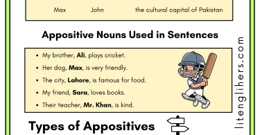 Appositive Nouns Definition, Types, and Examples