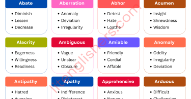 Synonyms for Competitive Exams with Their Pictures