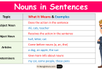 Nouns in Sentences Completely Explained with Examples