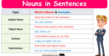Nouns in Sentences Completely Explained with Examples